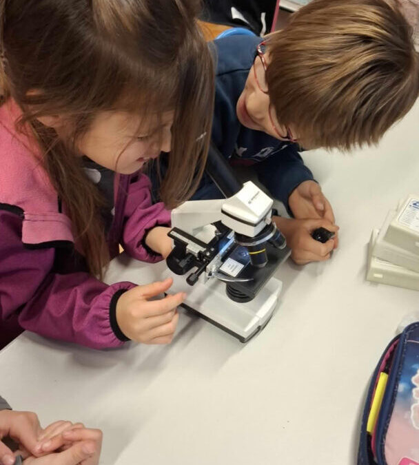 Život u kapljici vode – projekt, Područna škola Šipanska Luka