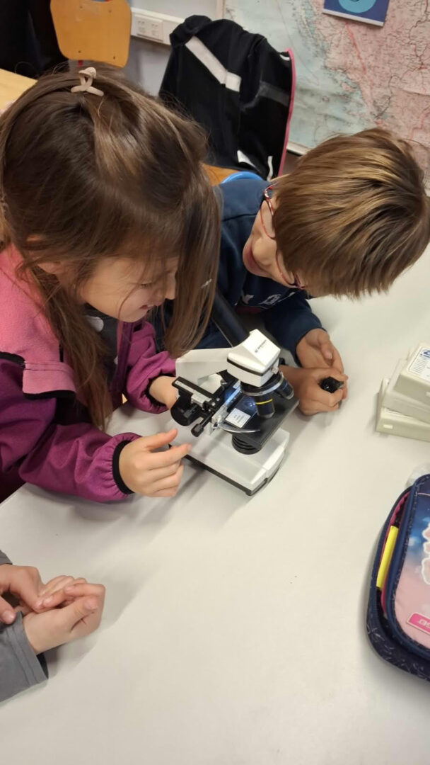 Život u kapljici vode – projekt, Područna škola Šipanska Luka