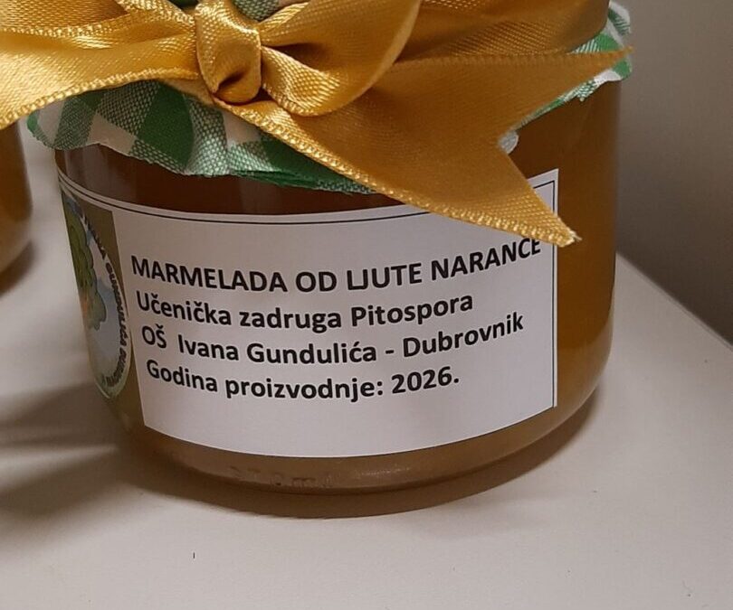 “Tragom dubrovačke prošlosti”
