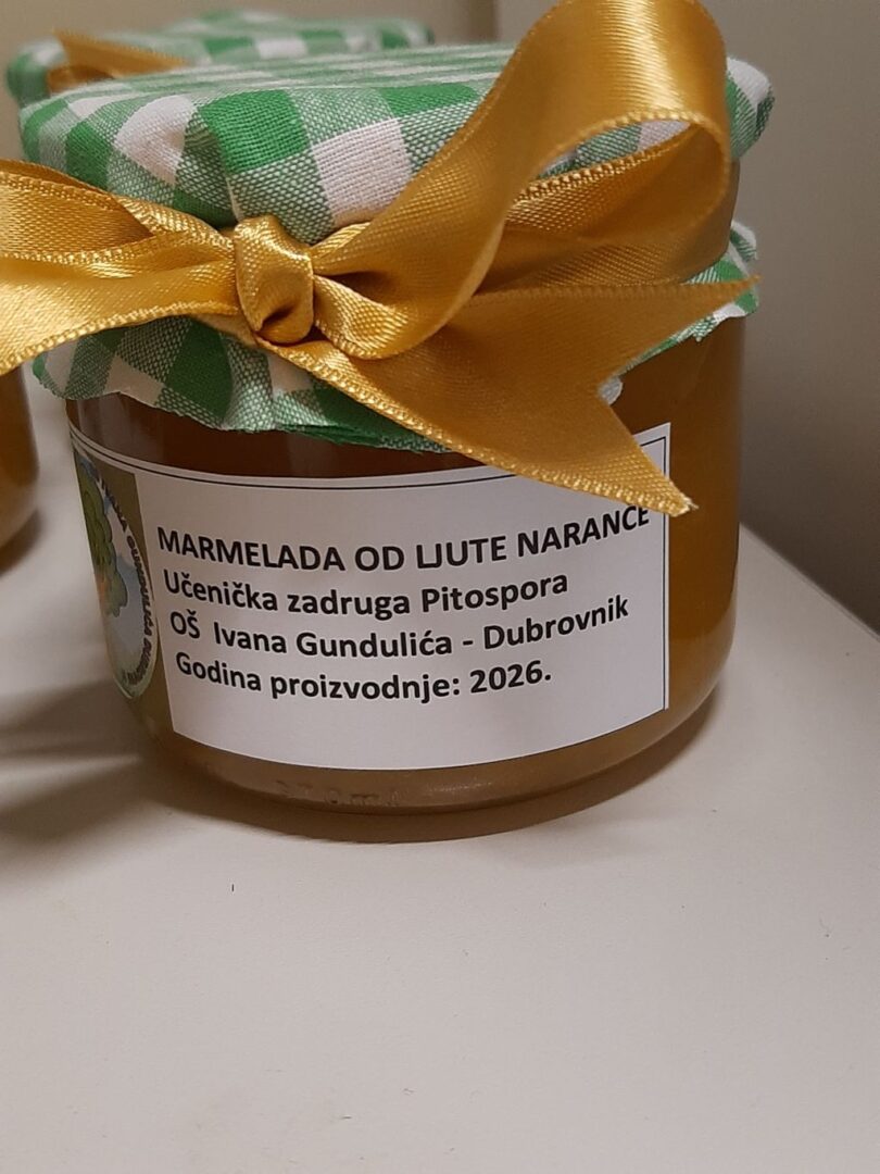 “Tragom dubrovačke prošlosti”